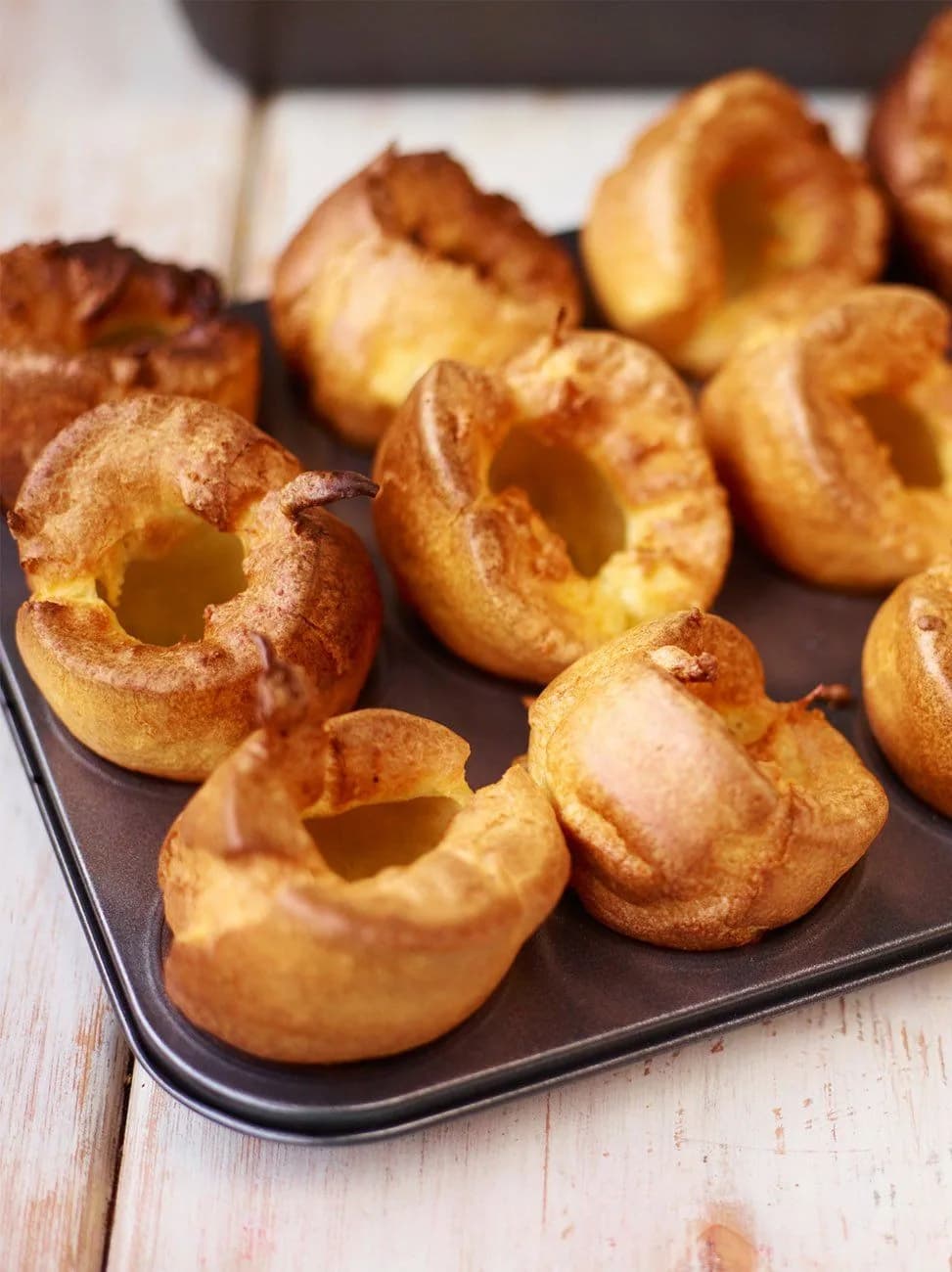 Amazing Yorkies