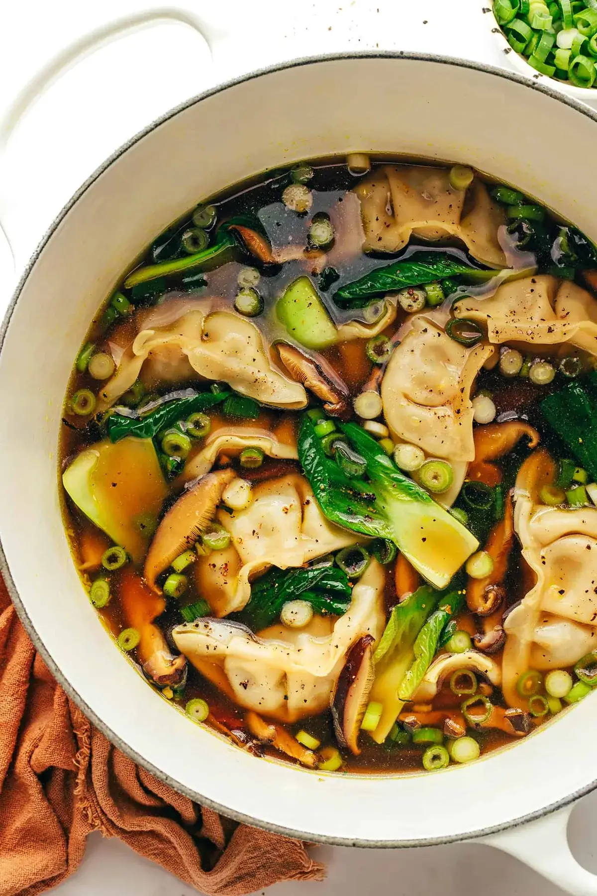 Potsticker Soup