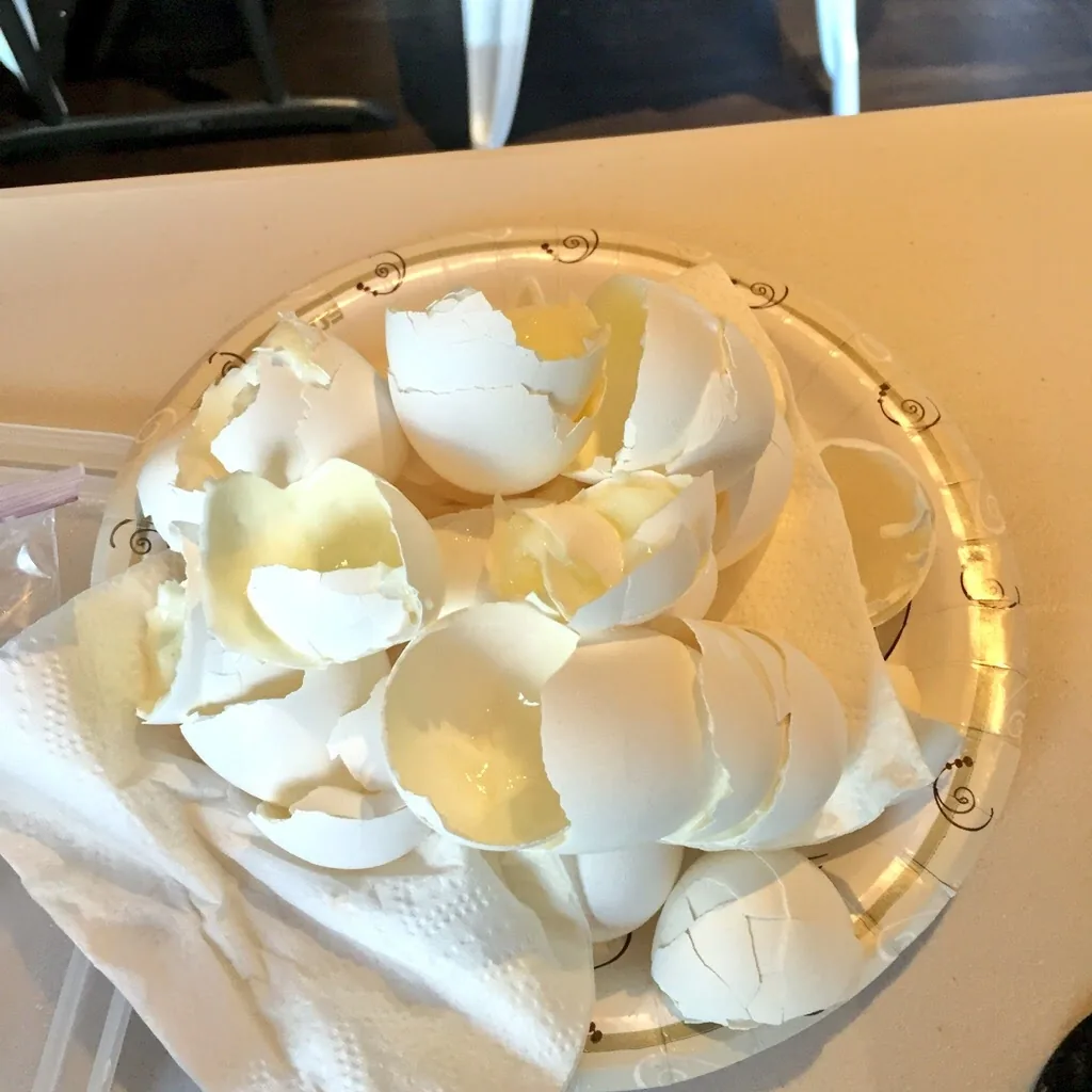 Egg shells